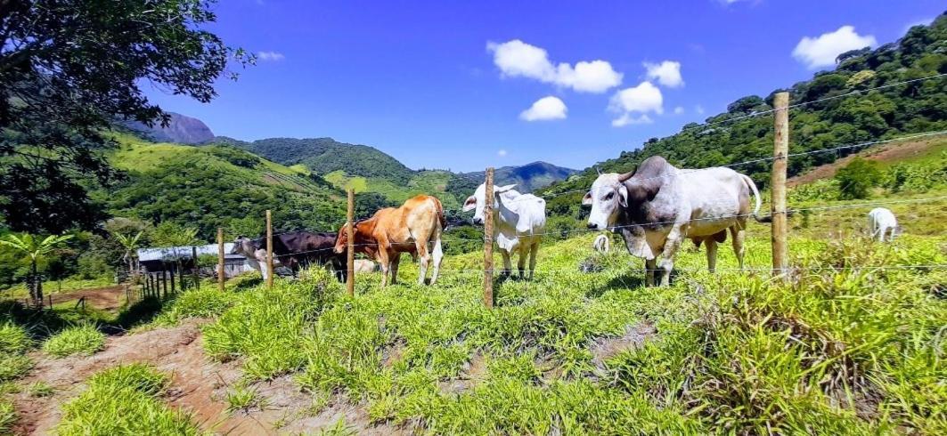 Fazendinha Paraiso ลูเมียร์ ภายนอก รูปภาพ