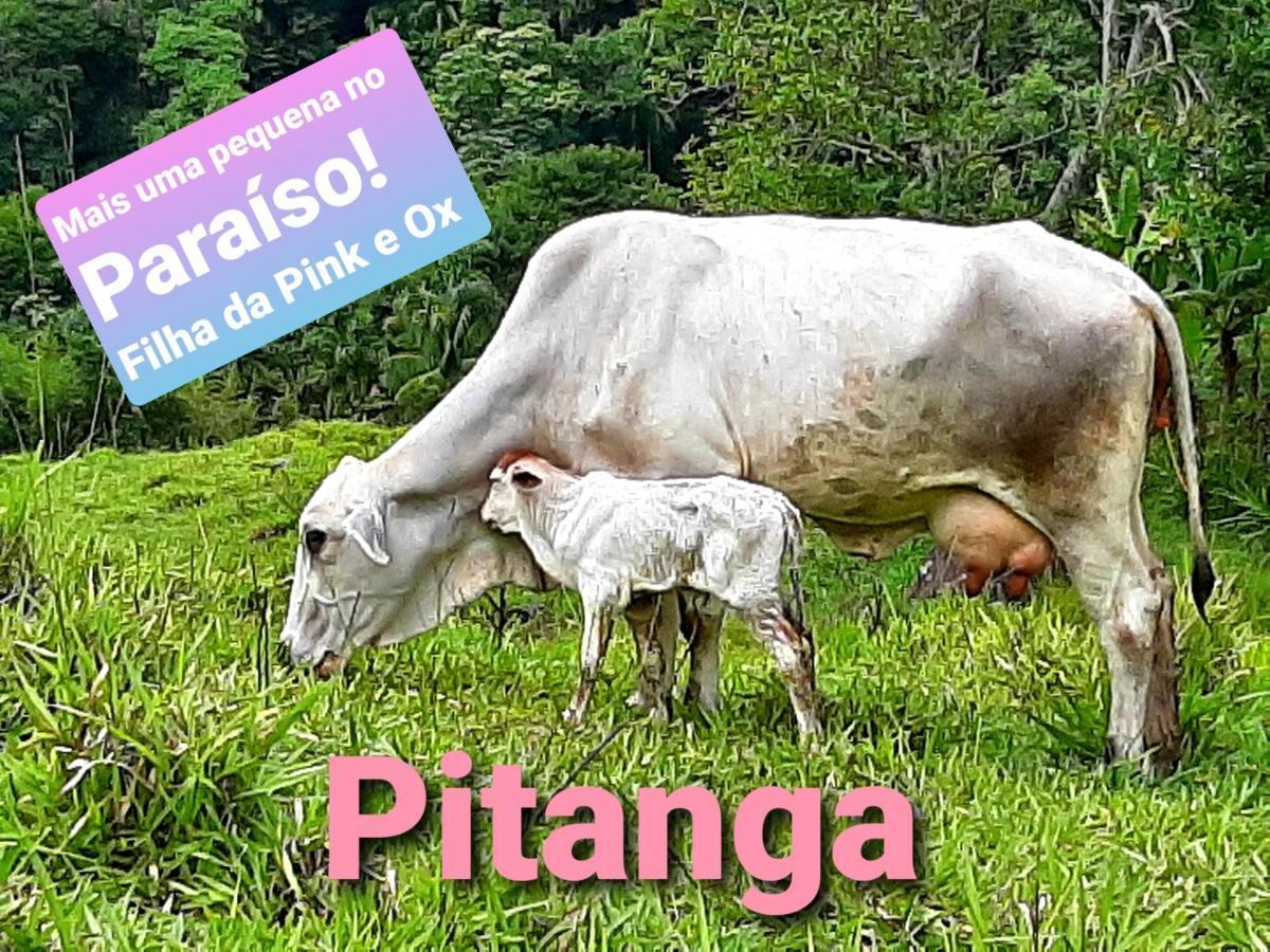 Fazendinha Paraiso ลูเมียร์ ภายนอก รูปภาพ
