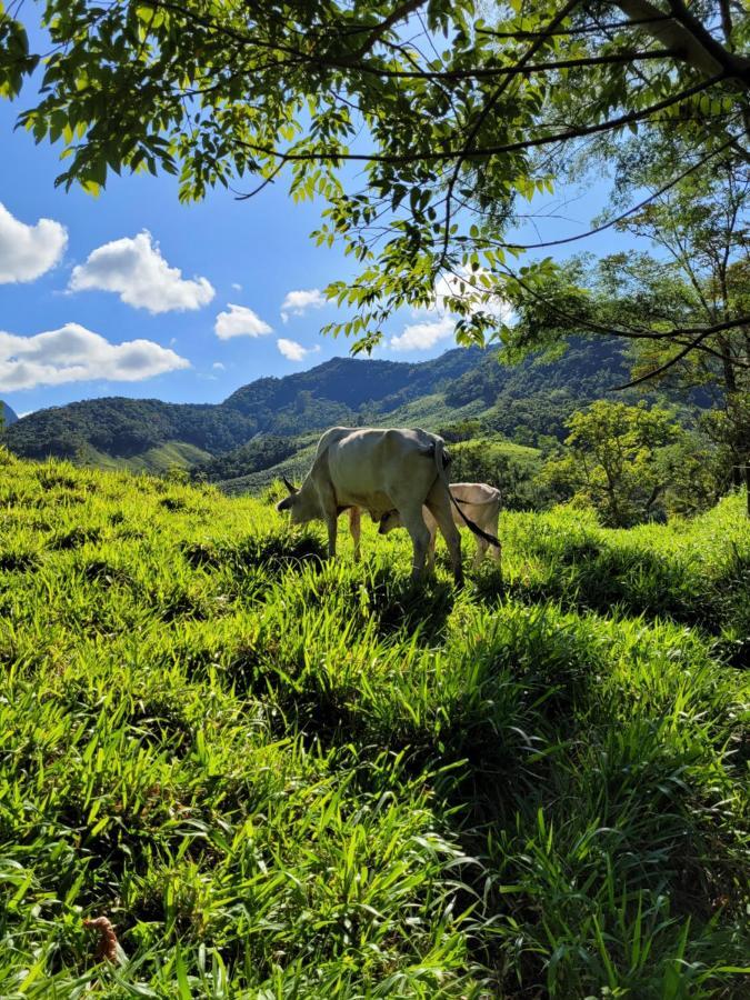 Fazendinha Paraiso ลูเมียร์ ภายนอก รูปภาพ