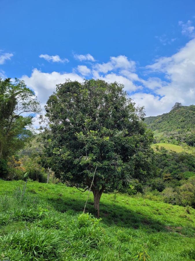 Fazendinha Paraiso ลูเมียร์ ภายนอก รูปภาพ